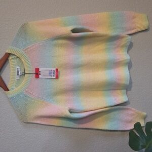 BB Dakota Multicolor Pastel Women's Sweater